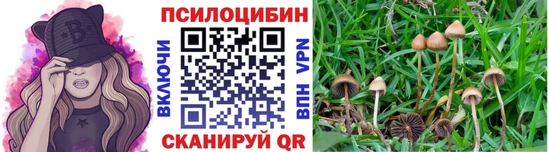 Галлюциногенные грибы Cubensis  Холм 